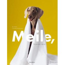 Meile, tu gyvensi ilgiau