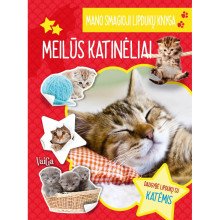 Meilūs katinėliai. Mano smagioji lipdukų knyga