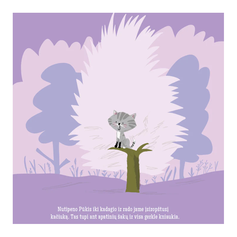 Pūkis ir tikras tigras