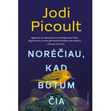 Norėčiau, kad būtum čia