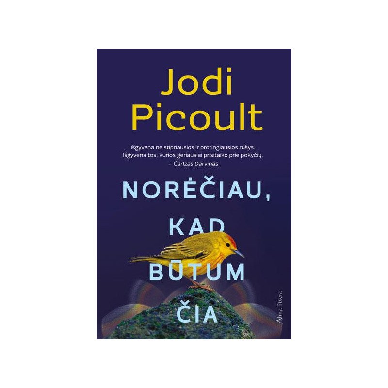 Norėčiau, kad būtum čia