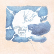 Kiškis Pranciškus Mėlynių pievoje