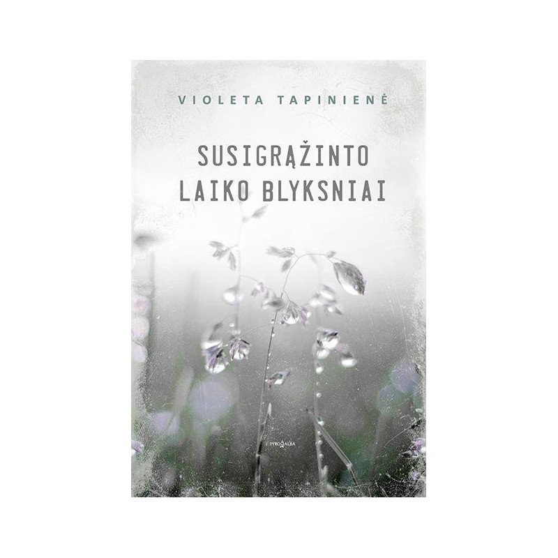 Susigrąžinto laiko blyksniai