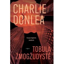 Tobula žmogžudystė