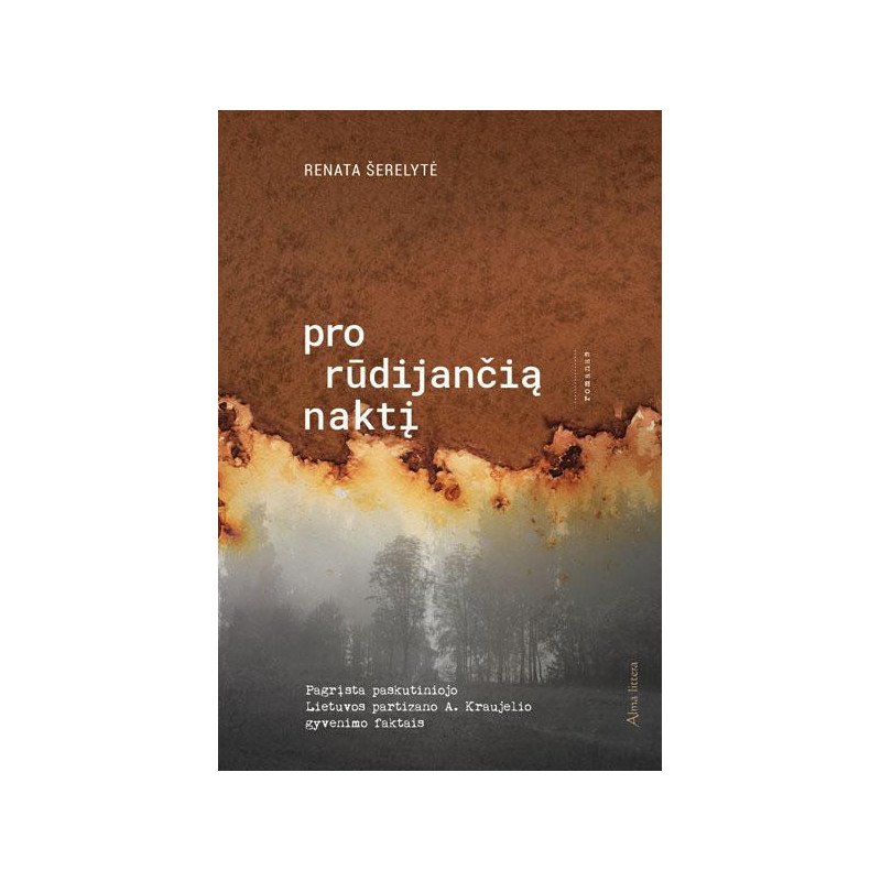 Pro rūdijančią naktį (su defektais)