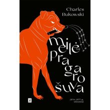 Meilė – tai pragaro šuva