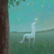 Arklio Dominyko meilė