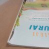 Grėsmingieji dinozaurai. Lipdukai-dėlionės-užduotys