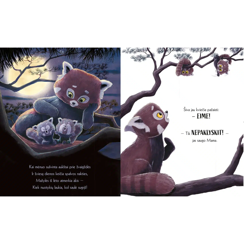 Pandos ir jų pažadas