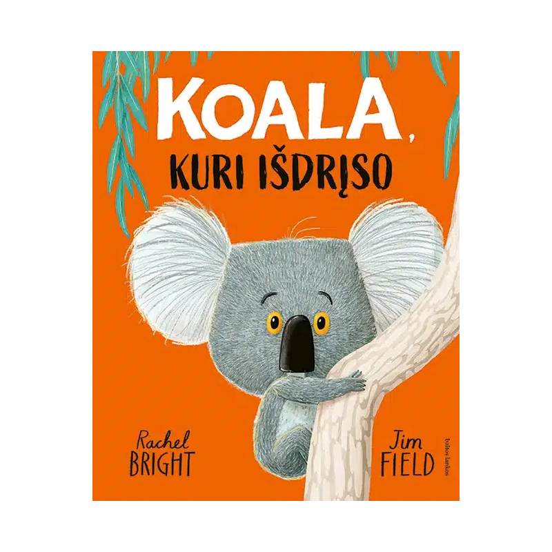Koala, kuri išdrįso