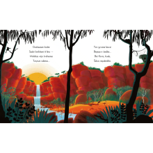 Koala, kuri išdrįso