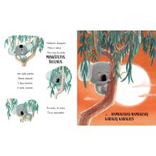 Koala, kuri išdrįso