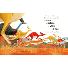 Koala, kuri išdrįso