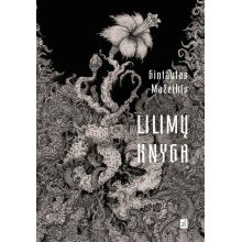 Lilimų knyga 1. Akmentakiai