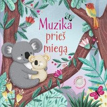 Muzika prieš miegą