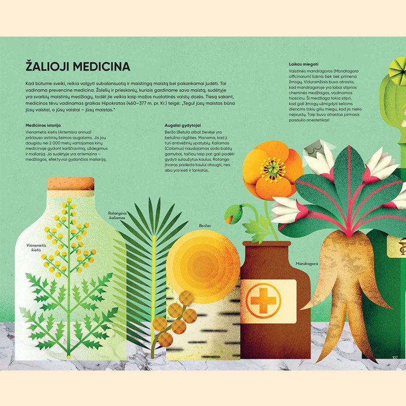 Pusryčiams suvalgiau Saulės. Odė pasaulio augalams