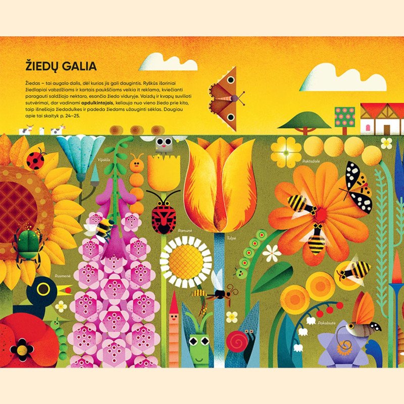 Pusryčiams suvalgiau Saulės. Odė pasaulio augalams