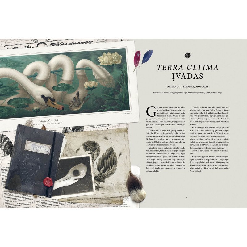 Terra Ultima. Nežinomo žemyno atradimas