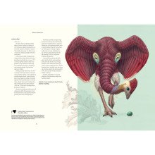 Terra Ultima. Nežinomo žemyno atradimas