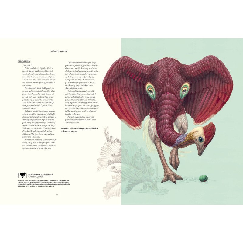 Terra Ultima. Nežinomo žemyno atradimas