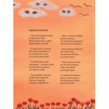 Žvaigždė ir meteoras