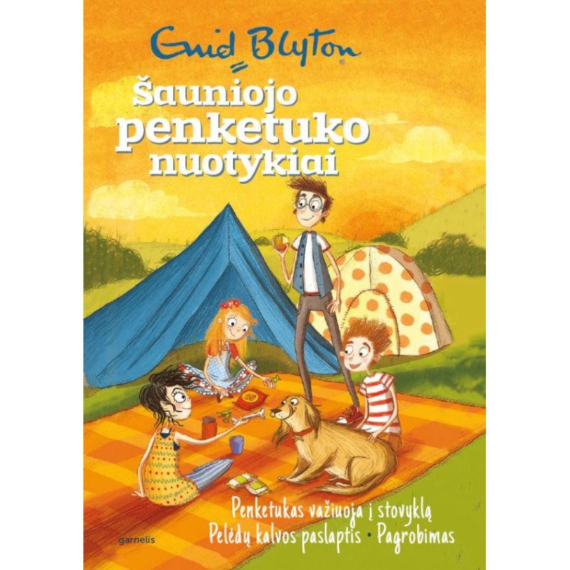 Penketukas važiuoja į stovyklą. Pelėdų kalvos paslaptis. Pagrobimas