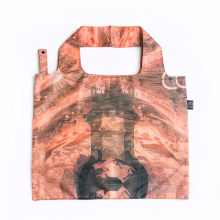 Easy bag M. K. Čiurlionis „REX"