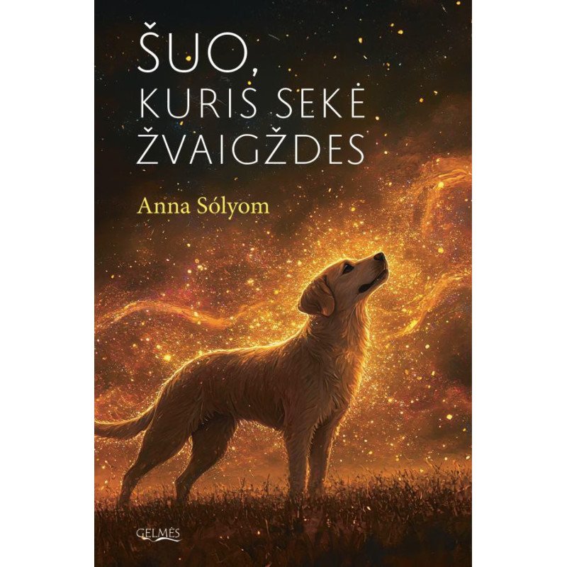 Šuo, kuris sekė žvaigždes