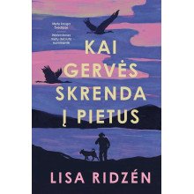 Kai gervės skrenda į pietus