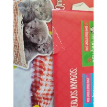 Meilūs katinėliai. Mano smagioji lipdukų knyga