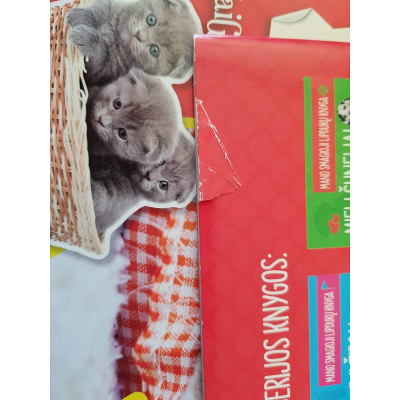 Meilūs katinėliai. Mano smagioji lipdukų knyga