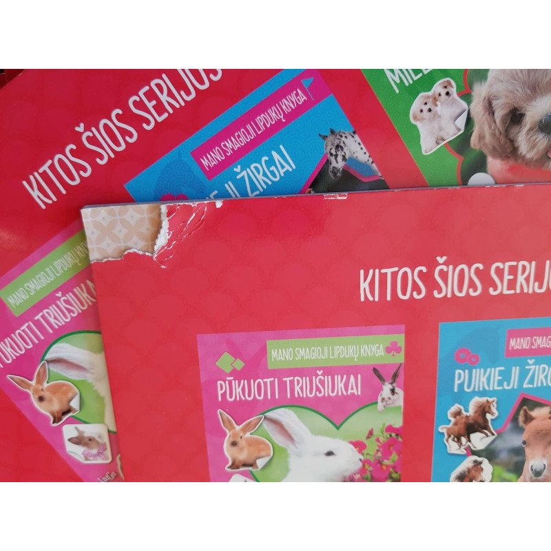 Meilūs katinėliai. Mano smagioji lipdukų knyga