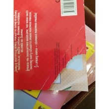 Meilūs katinėliai. Mano smagioji lipdukų knyga