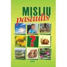 Mįslių pasaulis