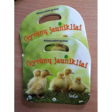 Mokausi pažinti gyvūnus. Gyvūnų jaunikliai