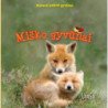 Mokausi pažinti gyvūnus. Miško gyvūnai