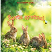 Mokausi pažinti gyvūnus. Žavūs gyvūnai