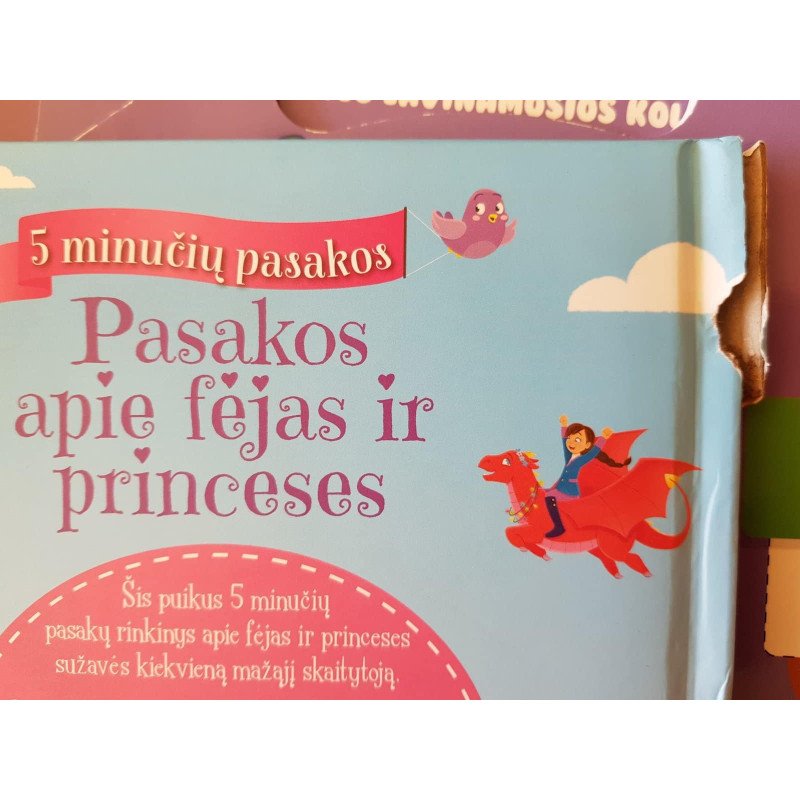 Pasakos apie fėjas ir princeses (5 minučių pasakos)