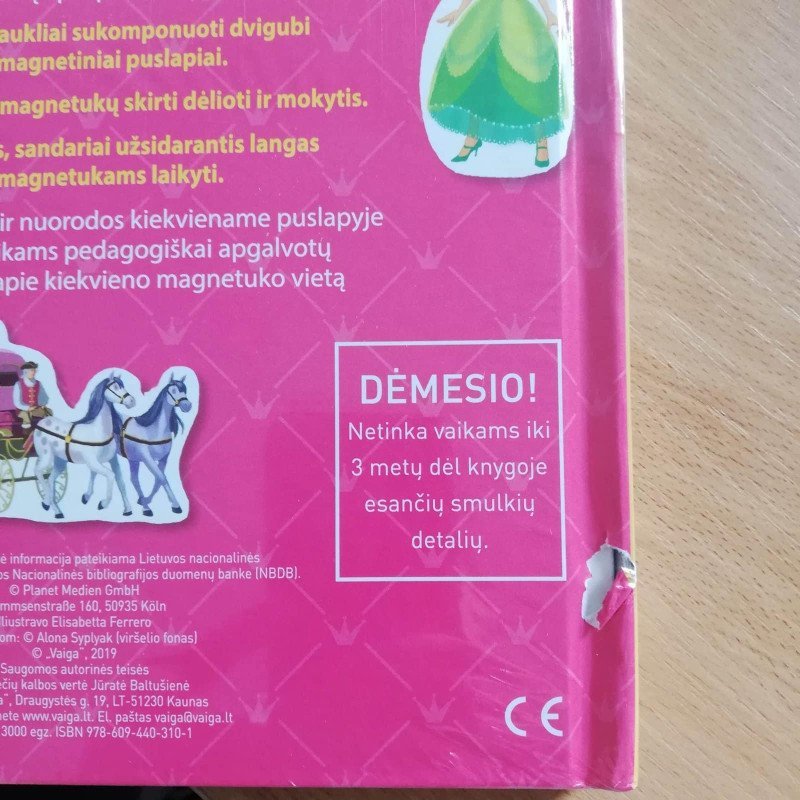 Princesių pasaulyje. Smagus žaidimas su magnetukais