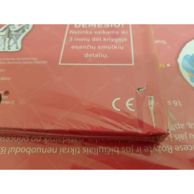 Princesių pasaulyje. Smagus žaidimas su magnetukais