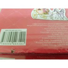 Princesių pasaulyje. Smagus žaidimas su magnetukais