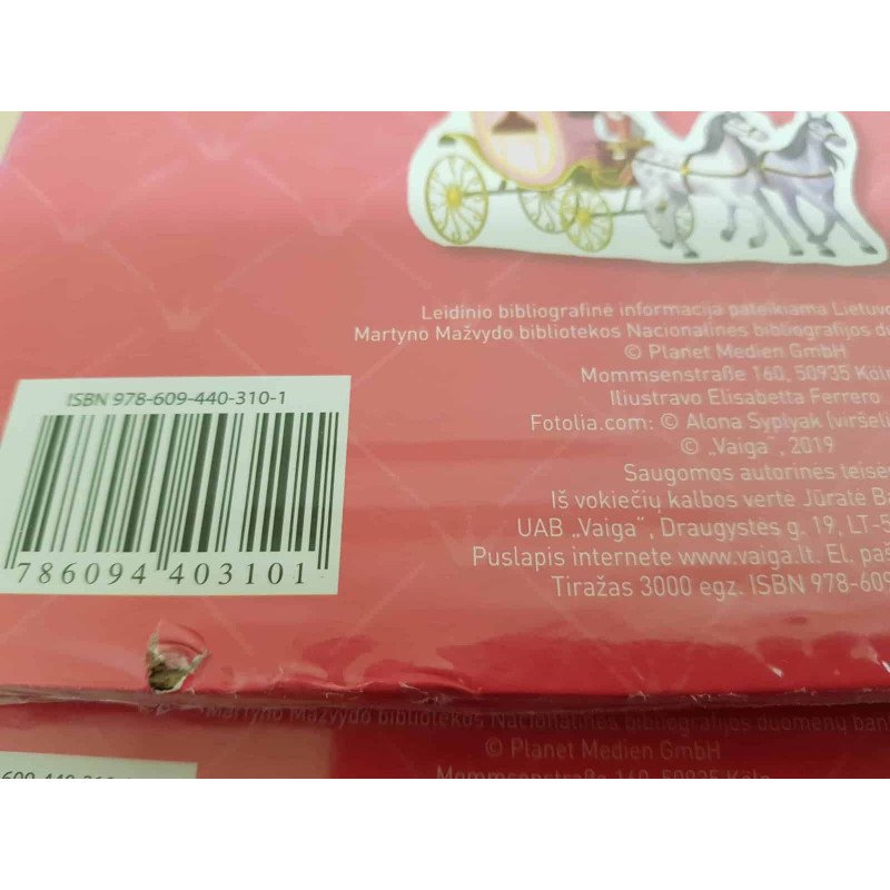 Princesių pasaulyje. Smagus žaidimas su magnetukais