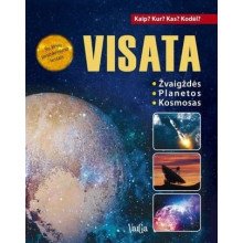 Visata