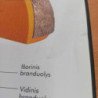 Visata (Žvaigždžių sistemos. Planetos. Galaktikos)