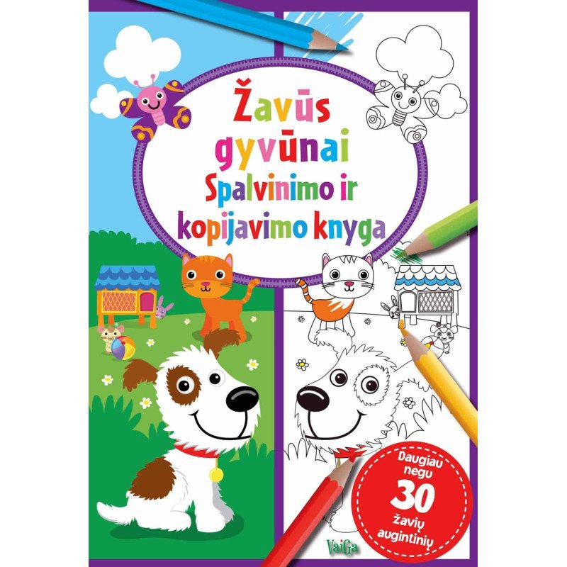 Žavūs gyvūnai. Spalvinimo ir kopijavimo knyga