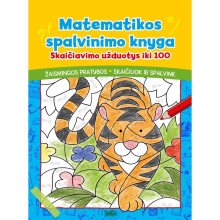 Matematikos spalvinimo knyga. Skaičiavimo užduotys iki 100