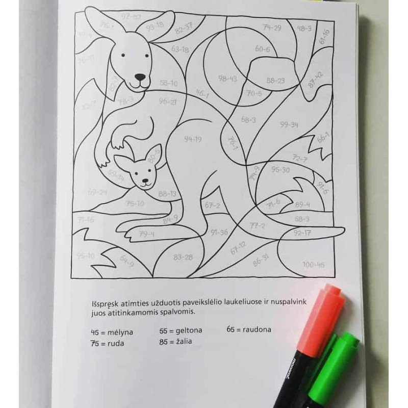Matematikos spalvinimo knyga. Skaičiavimo užduotys iki 100