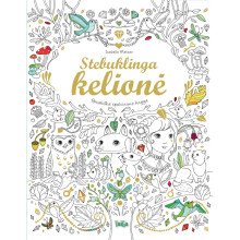 Stebuklinga kelionė