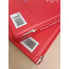 Kas gi trukdo miegoti Matildai?