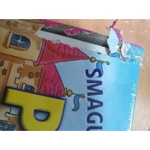 Princesė. Smagus žaidimas su magnetukais